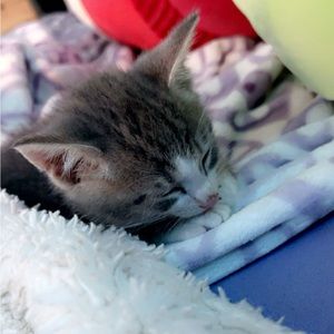 Meet your Posher, Avery